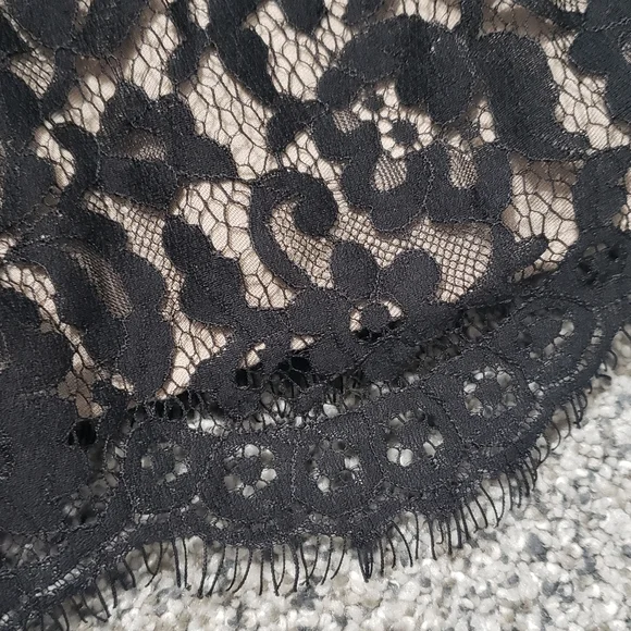 Neimans/Target Lace Strapless Dress - Picture 3 of 16